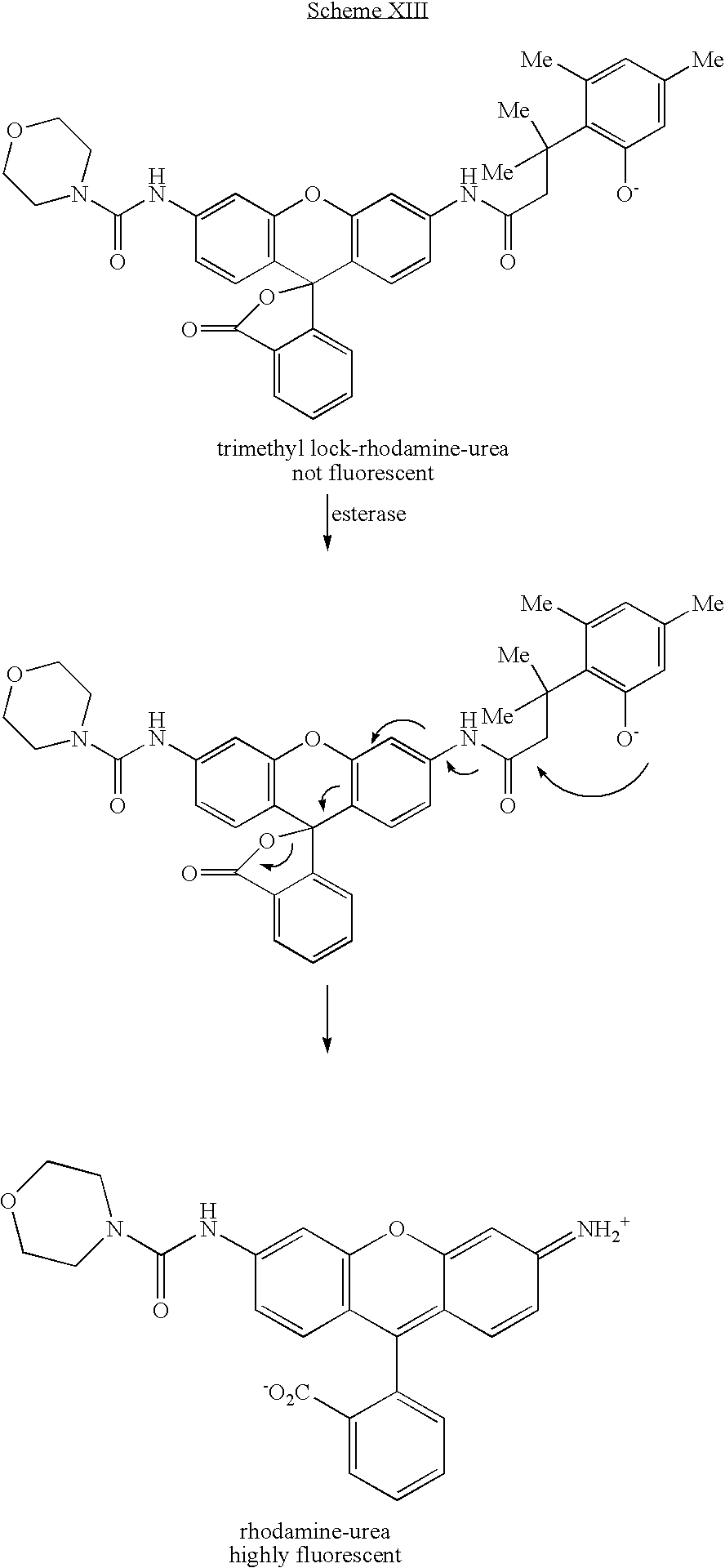 Figure US08034928-20111011-C00028