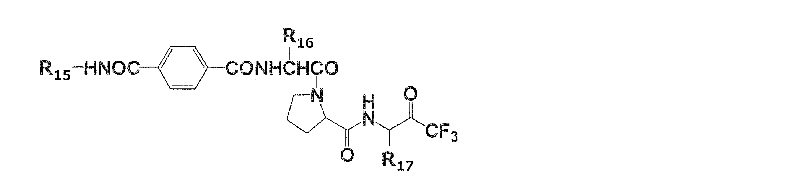 Figure 0007102658000029