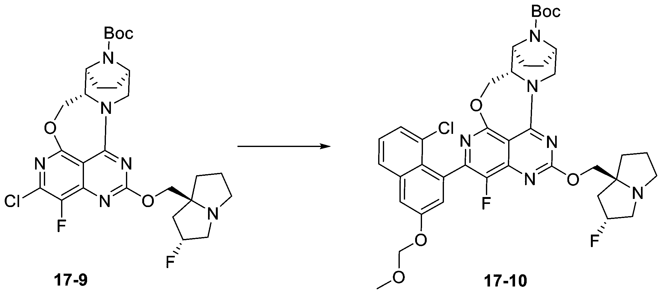 Figure 2025513258000176