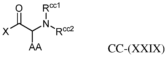Figure imgf000166_0001