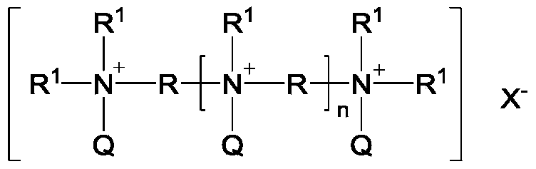Figure PCTCN2022136525-appb-000075