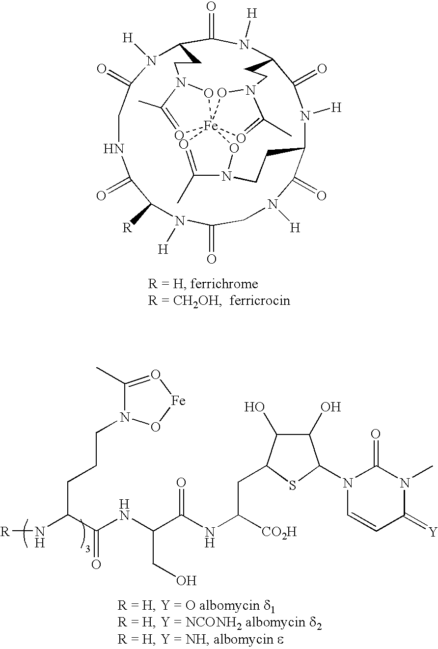 Figure US20080119421A1-20080522-C00013