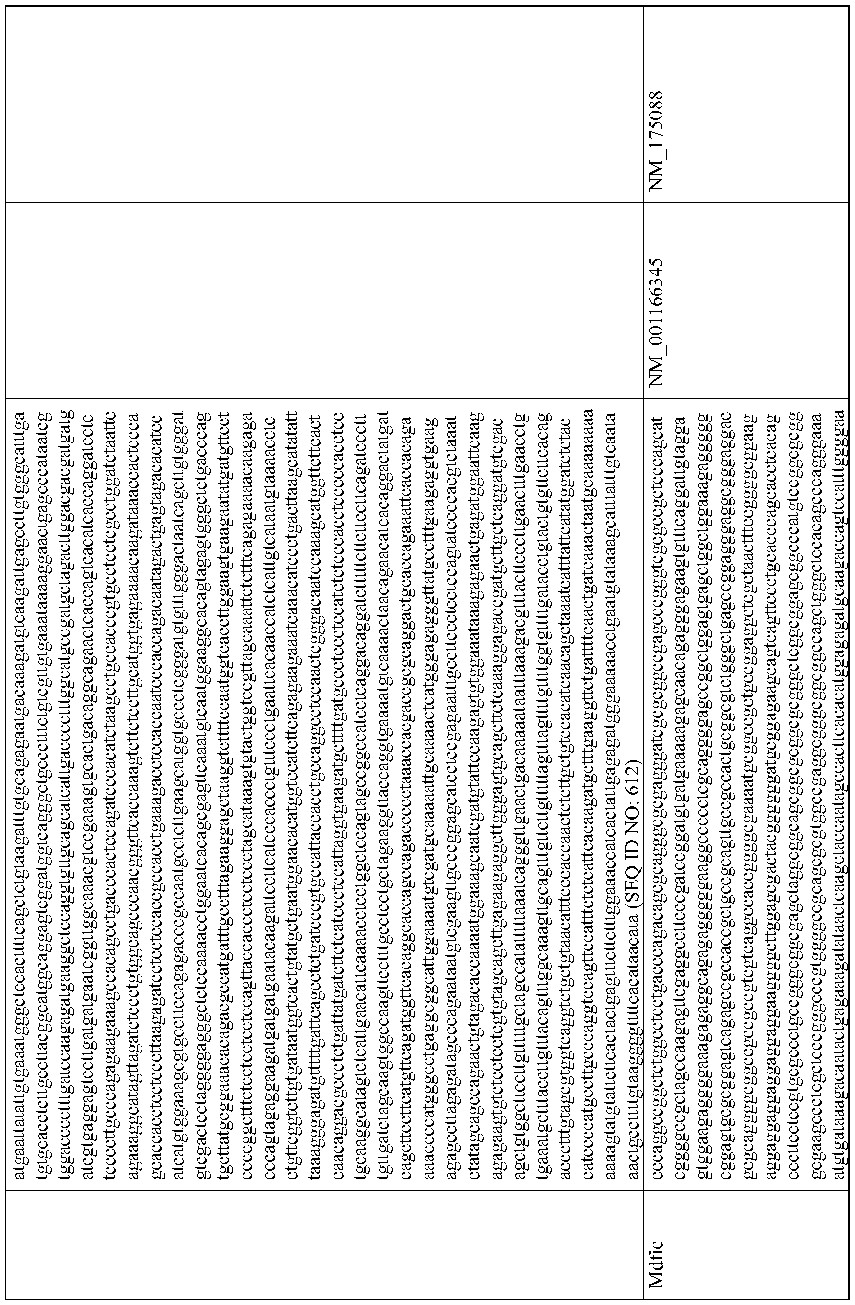 Figure imgf000031_0001