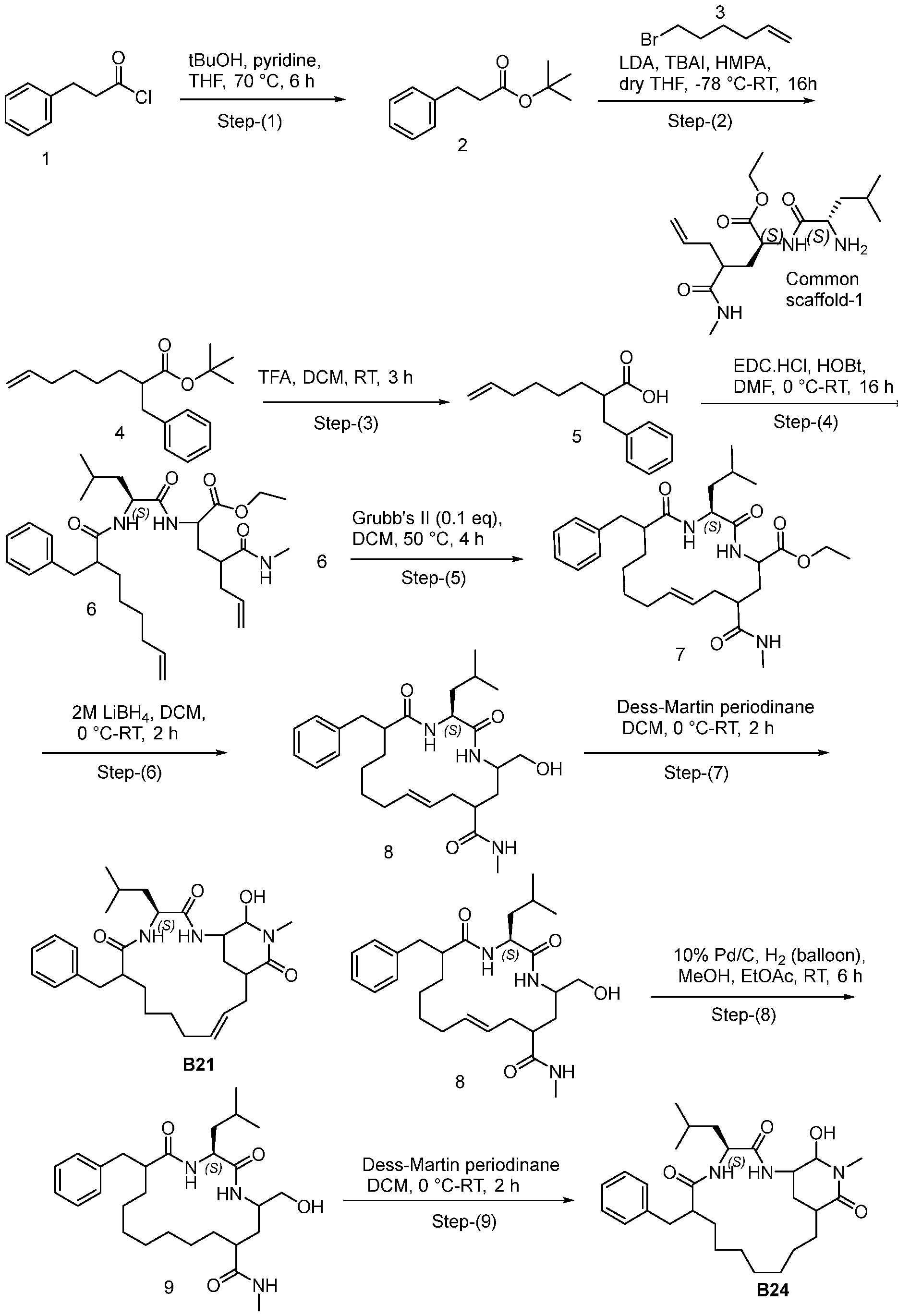 Figure imgf000225_0001