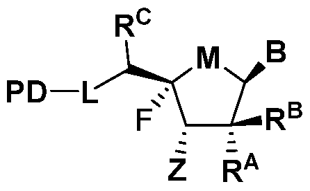 Figure imgf000026_0001