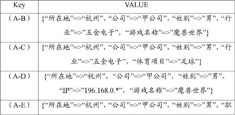 Figure GDA0000076722980000071