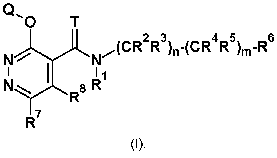 Figure imgf000002_0001