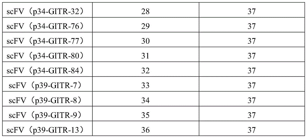 Figure BDA0004032492900000361