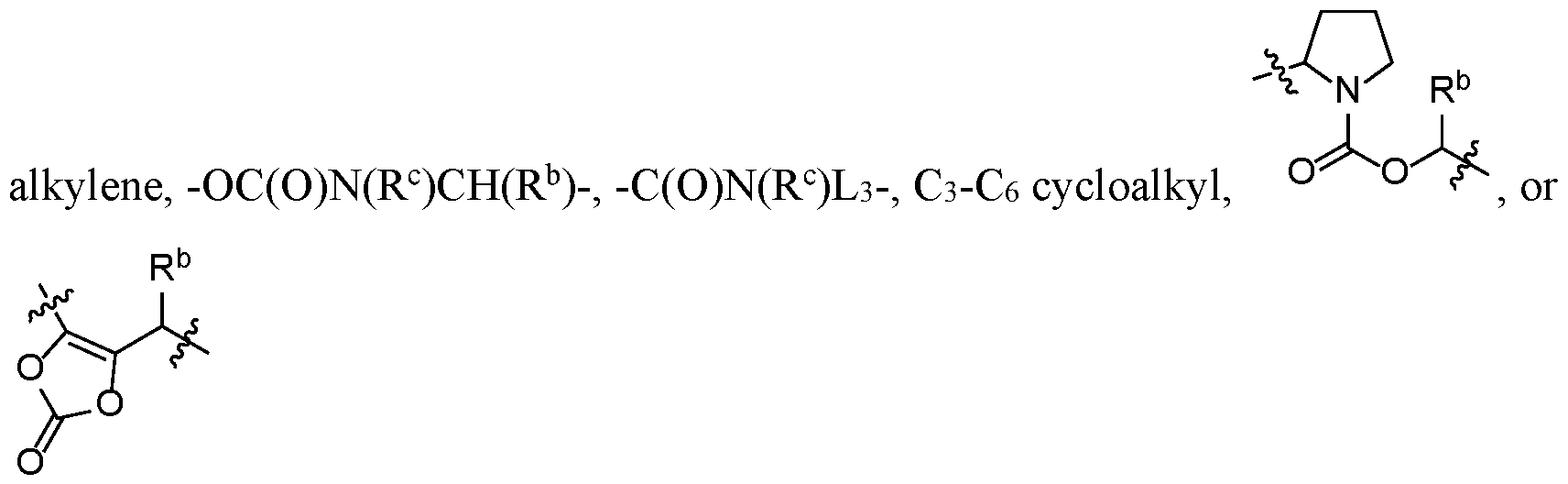 Figure imgf000011_0002