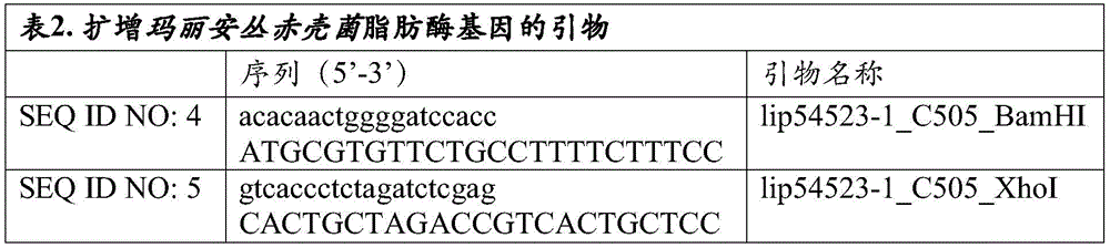 Figure BDA0002314766980000651