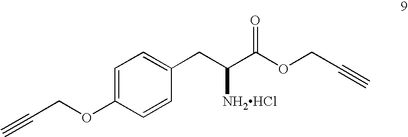 Figure US20060246509A1-20061102-C00013