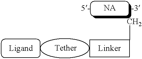 Figure US20070105803A1-20070510-C00118