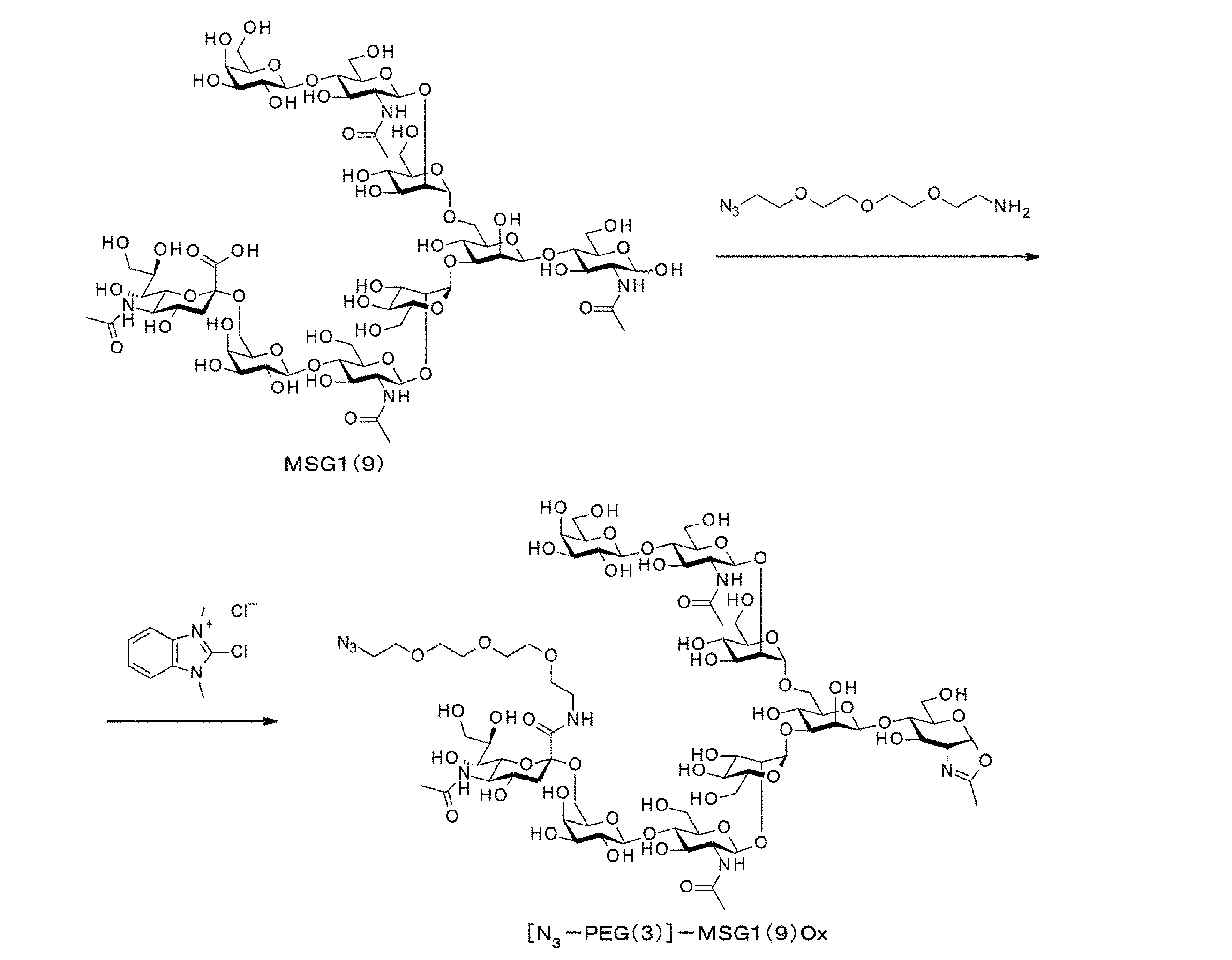 Figure JPOXMLDOC01-appb-C000145