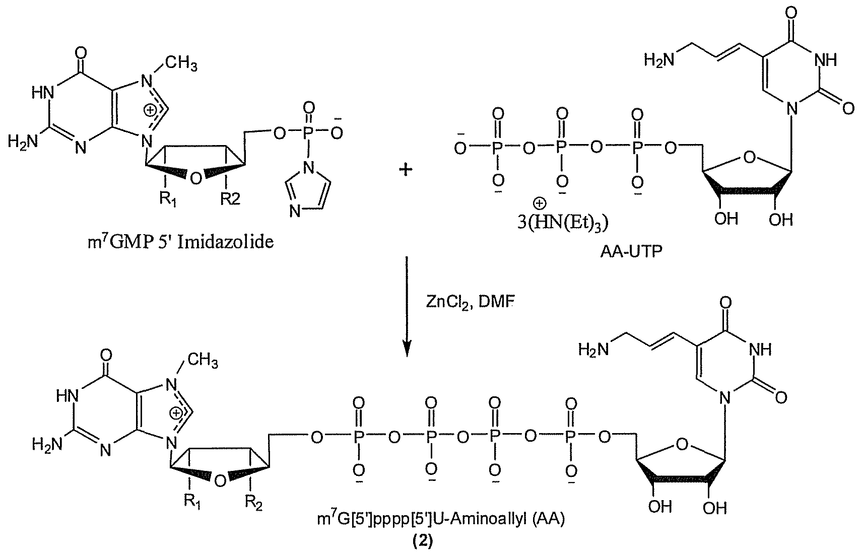 Figure imgf000037_0001