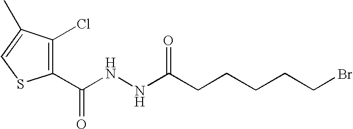 Figure US20080214635A1-20080904-C00103
