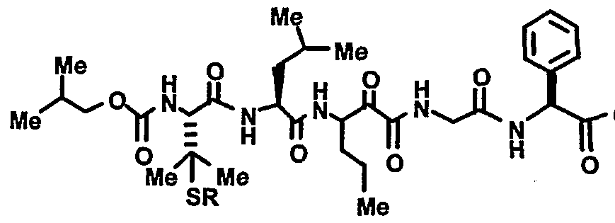 Figure imgf000031_0005