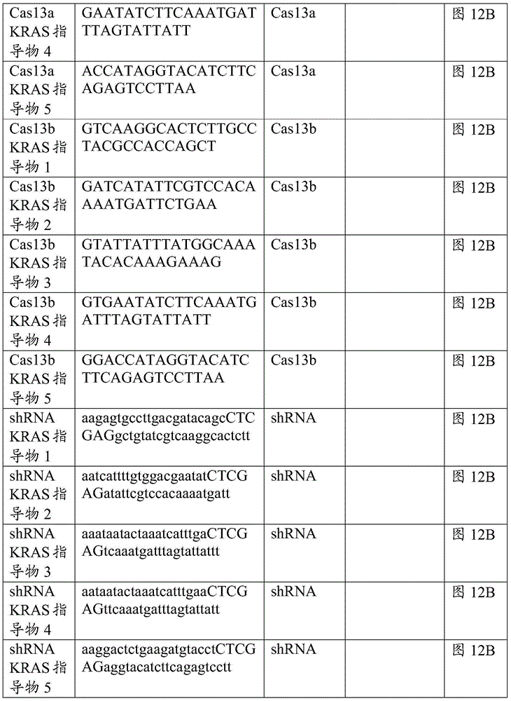 Figure BDA0002313867470003211