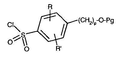 Figure 112004021339433-pct00046