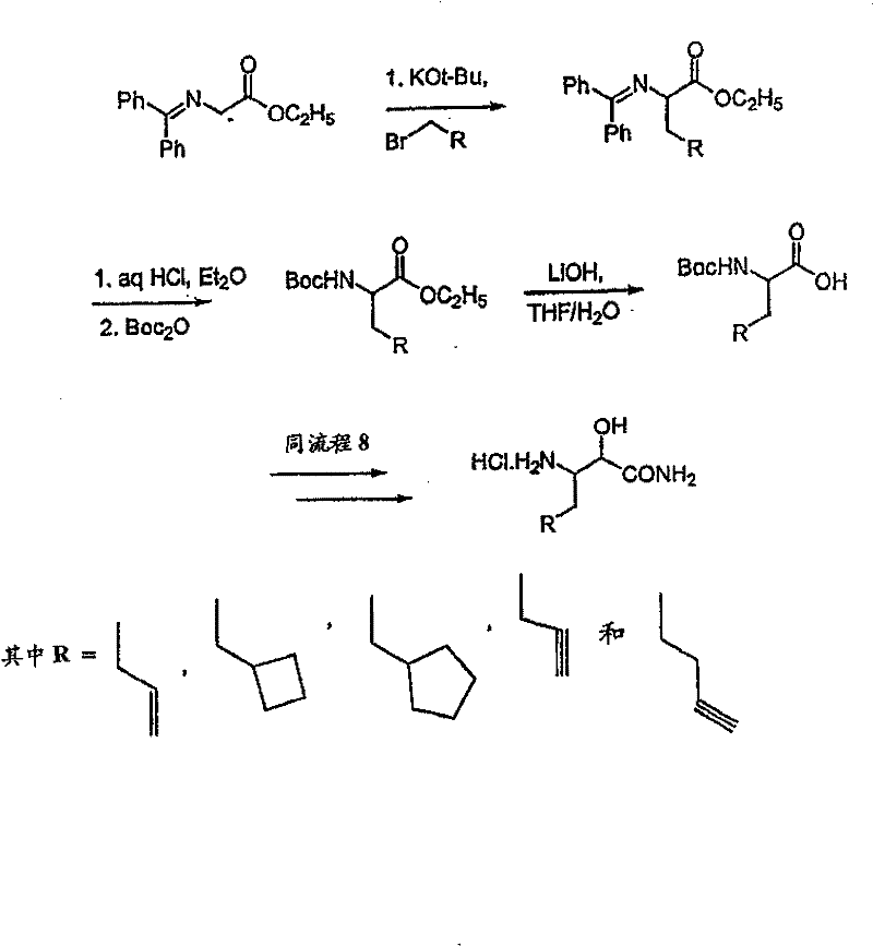 Figure BSA00000554725401001