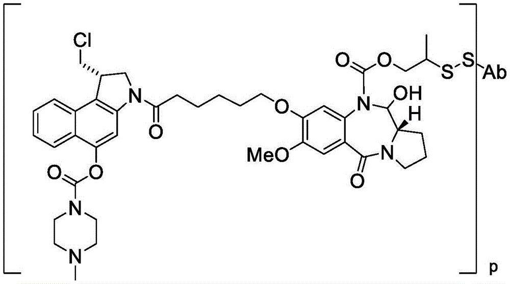 Figure BDA0003169464670001373