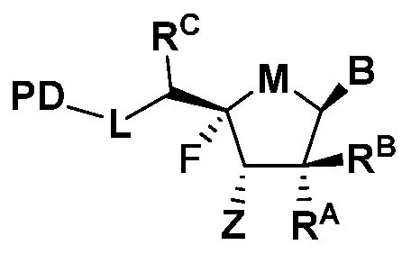 Figure imgf000028_0001