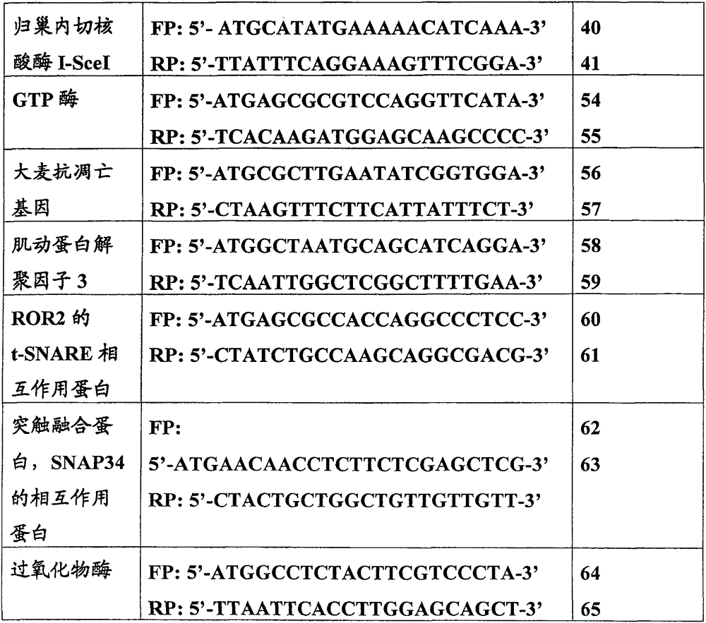 Figure 2006800215863A00800151