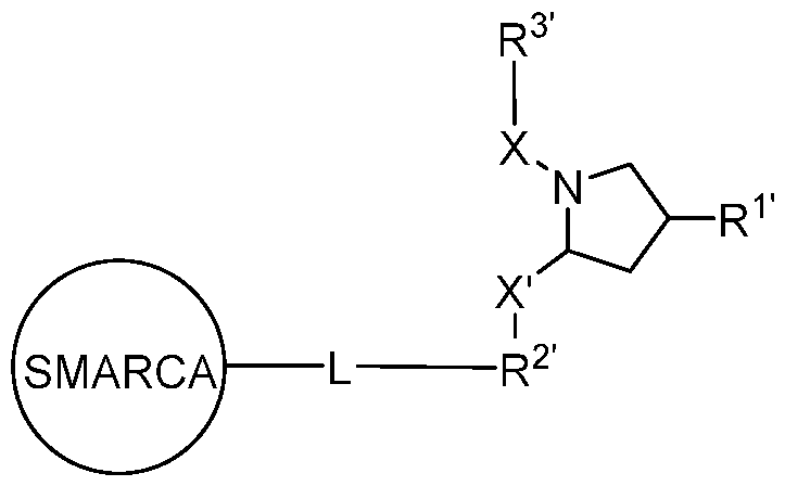 Figure imgf000392_0001