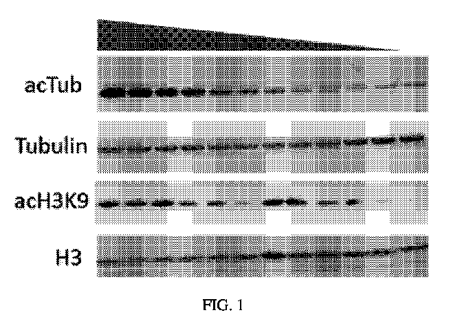 Figure 2022543106000001