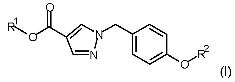 Figure imgf000004_0001