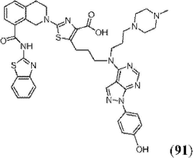 Figure BDA0000083236130002541
