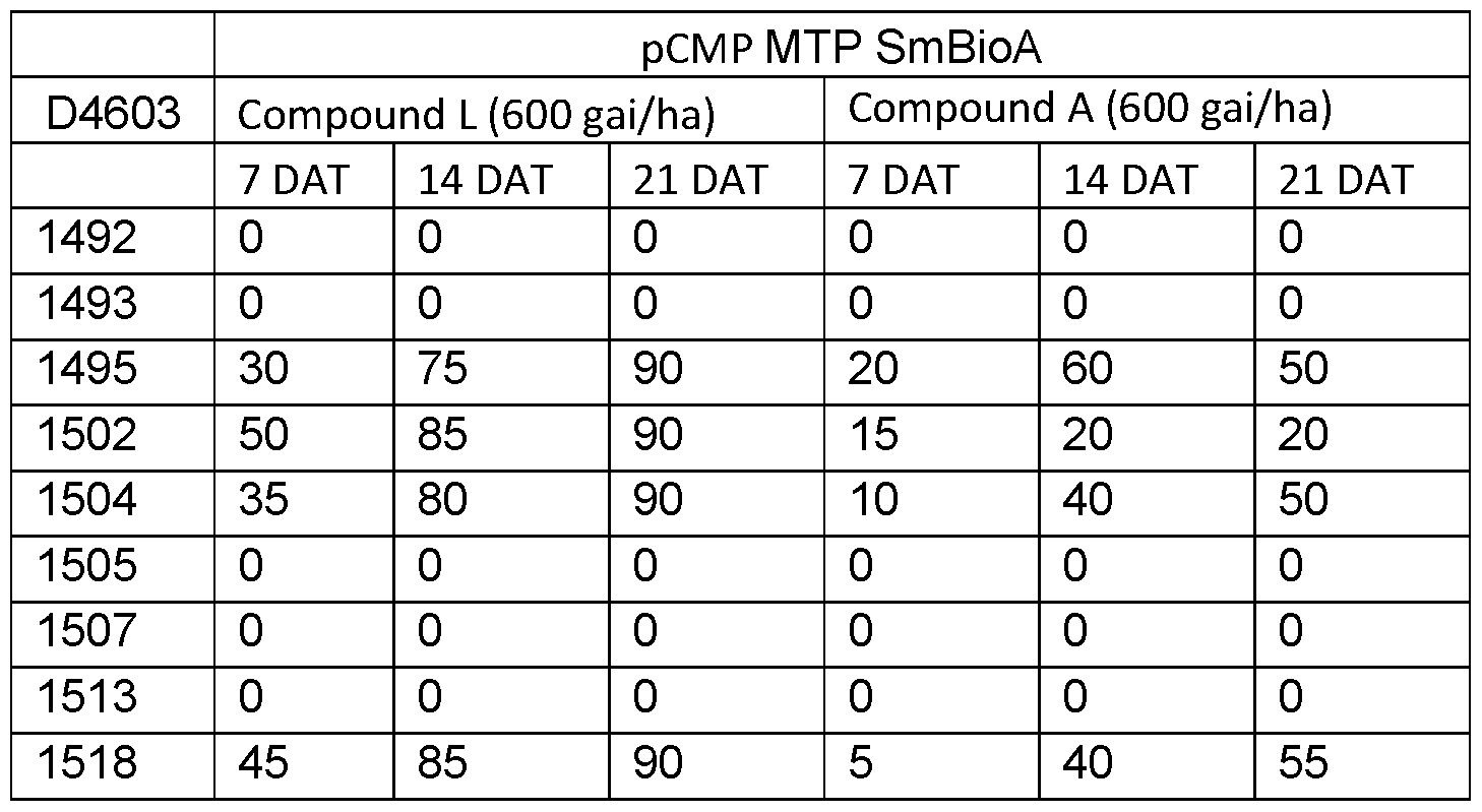 Figure imgf000200_0002