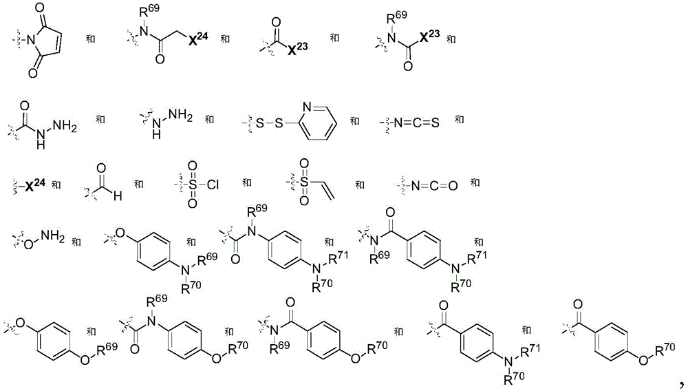 Figure GDA0002483706190000971