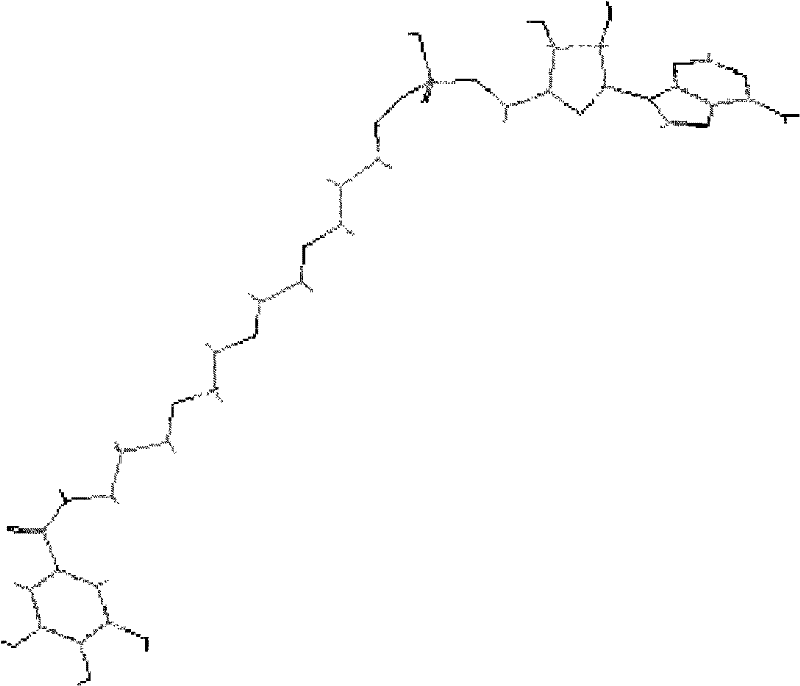 Figure BPA00001350255800191