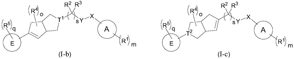 Figure FDA0003718507520000033