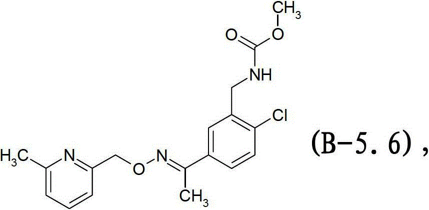 Figure BDA00001852466300042