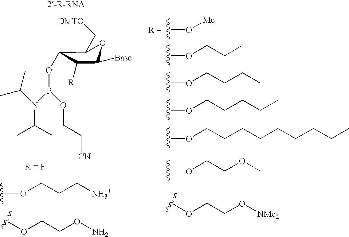 Figure US20060014144A1-20060119-C00044