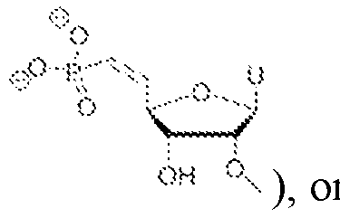 Figure imgf000007_0003