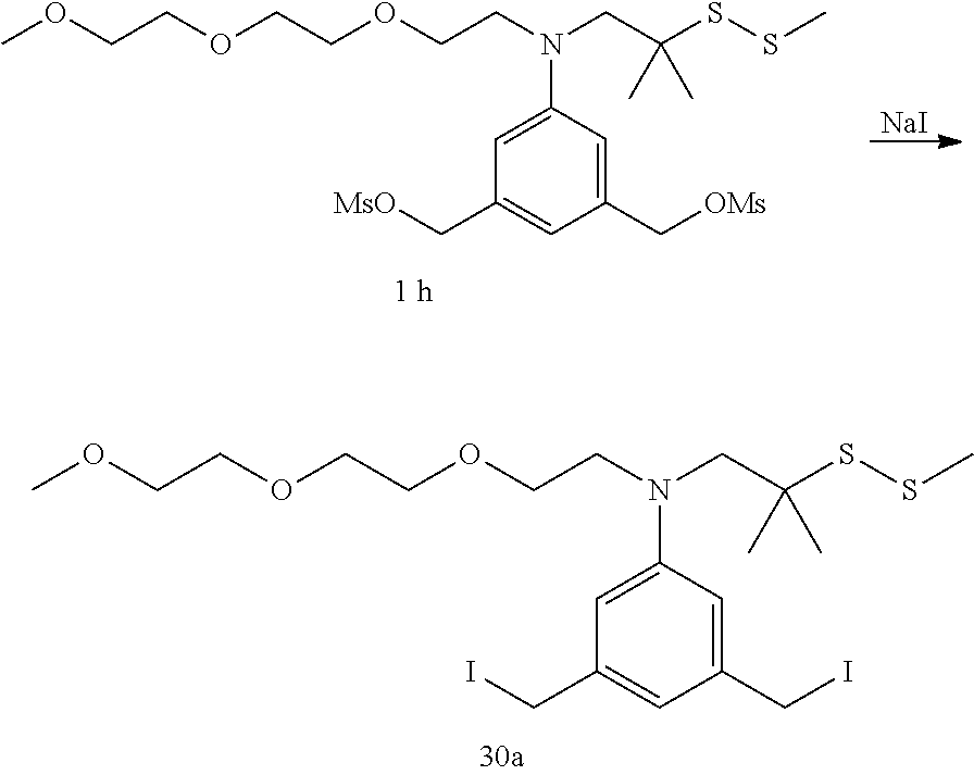 Figure US20120244171A1-20120927-C00168