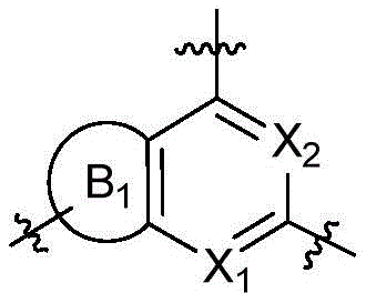 Figure BDA0003616036730000061