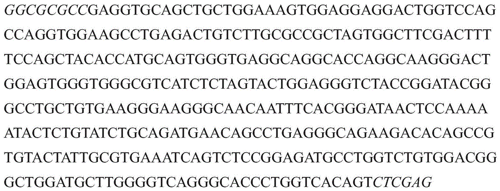 Figure GDA0003152722340000902