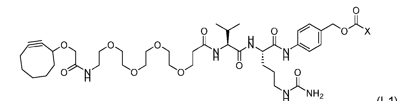 Figure imgf000310_0004