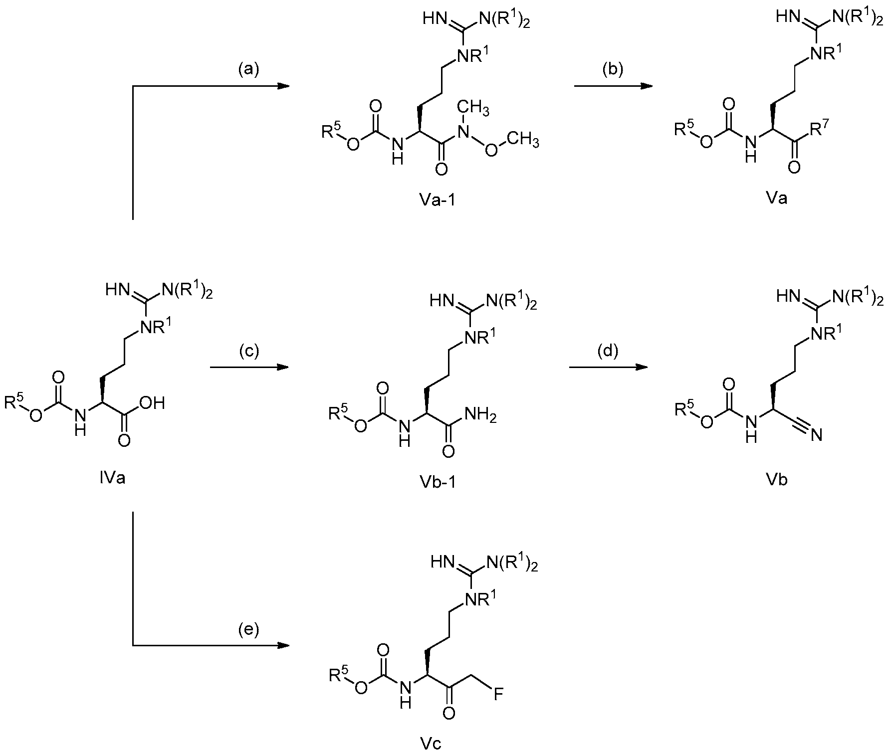 Figure imgf000033_0001