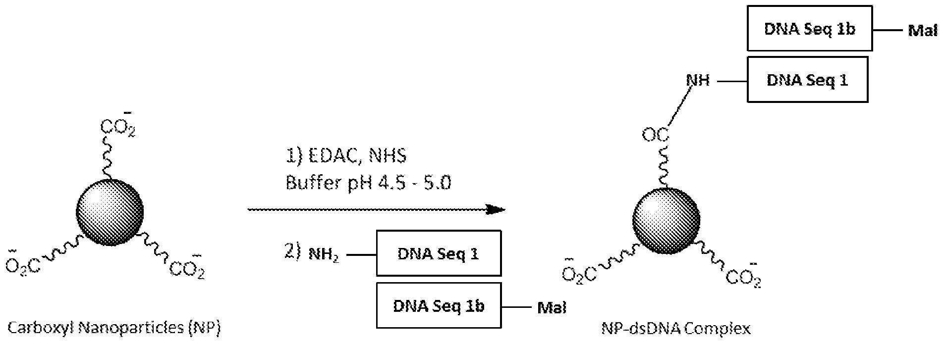 Figure imgf000194_0001
