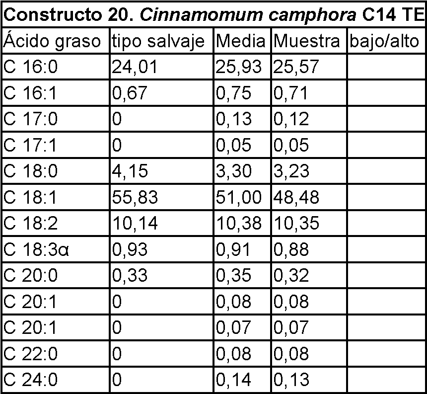 Figure imgf000073_0001
