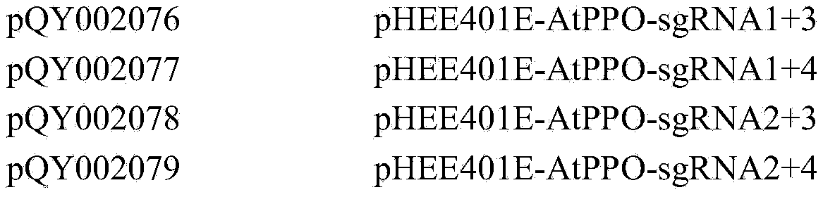 Figure PCTCN2020126747-appb-000034