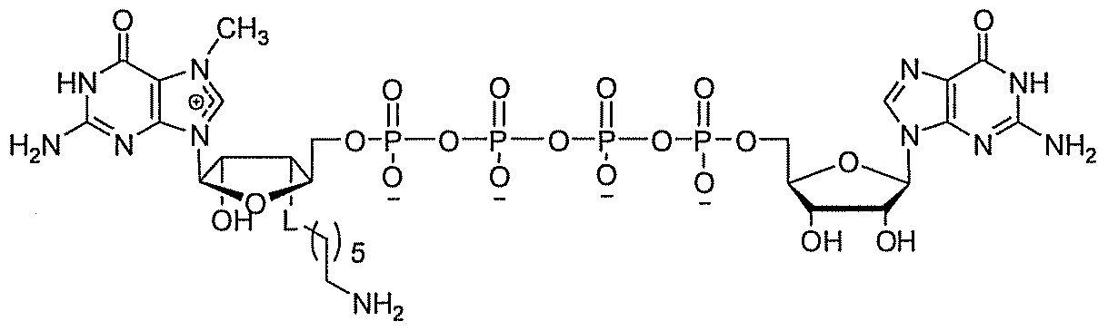 Figure imgf000047_0002