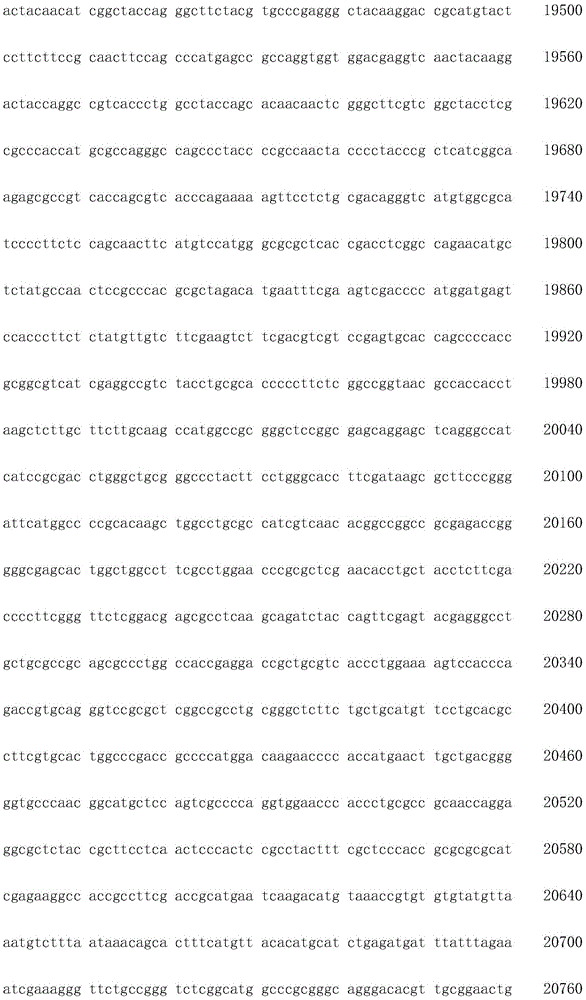 Figure IDA0002872168960001961