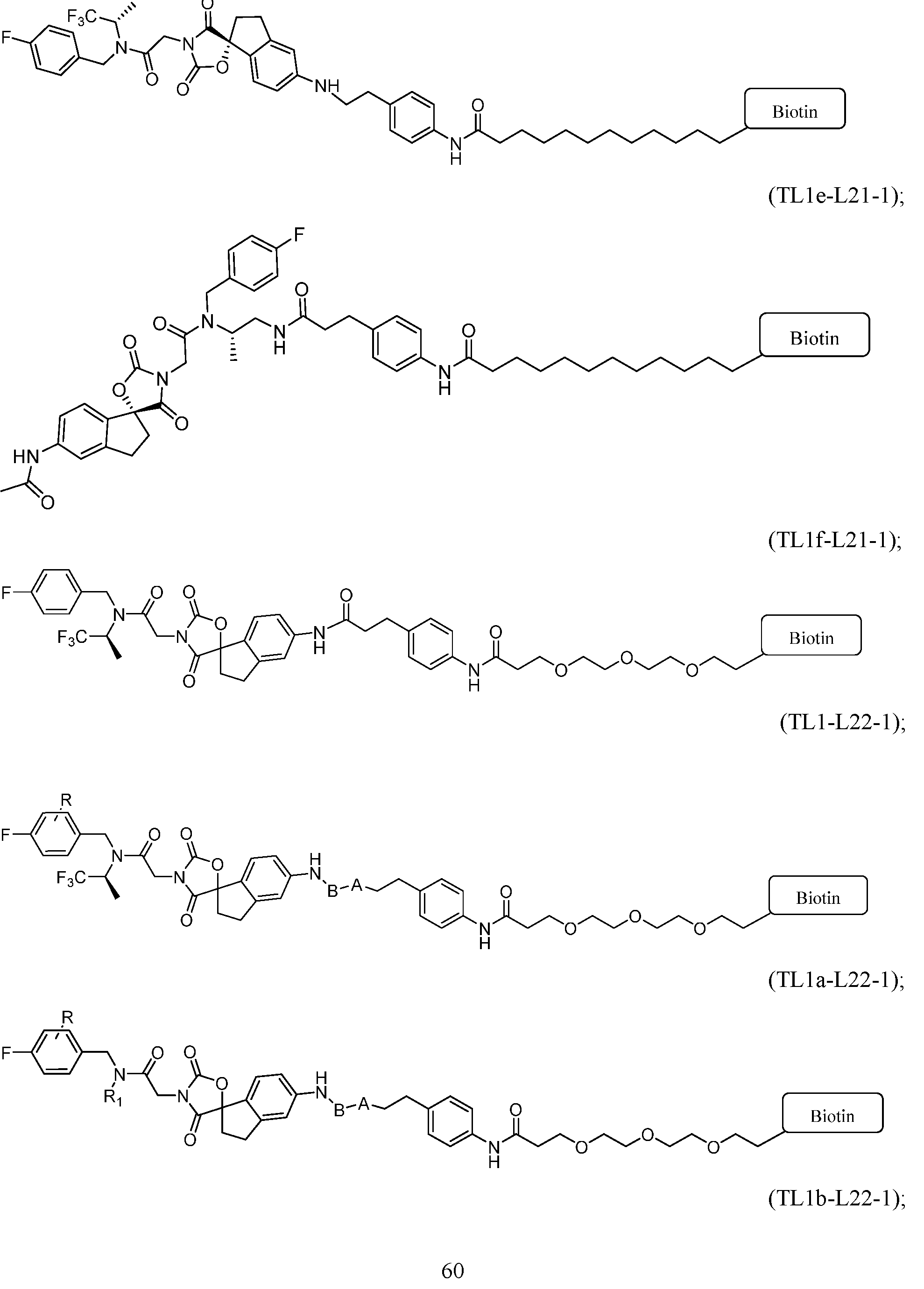 Figure imgf000061_0001