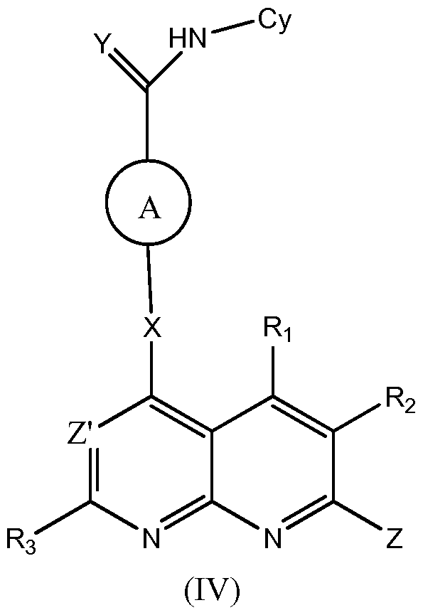 Figure imgf000010_0001