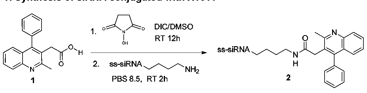 Figure imgf000171_0002